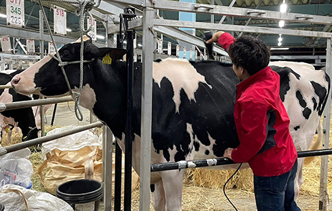 おおのミルク工房